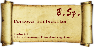 Borsova Szilveszter névjegykártya